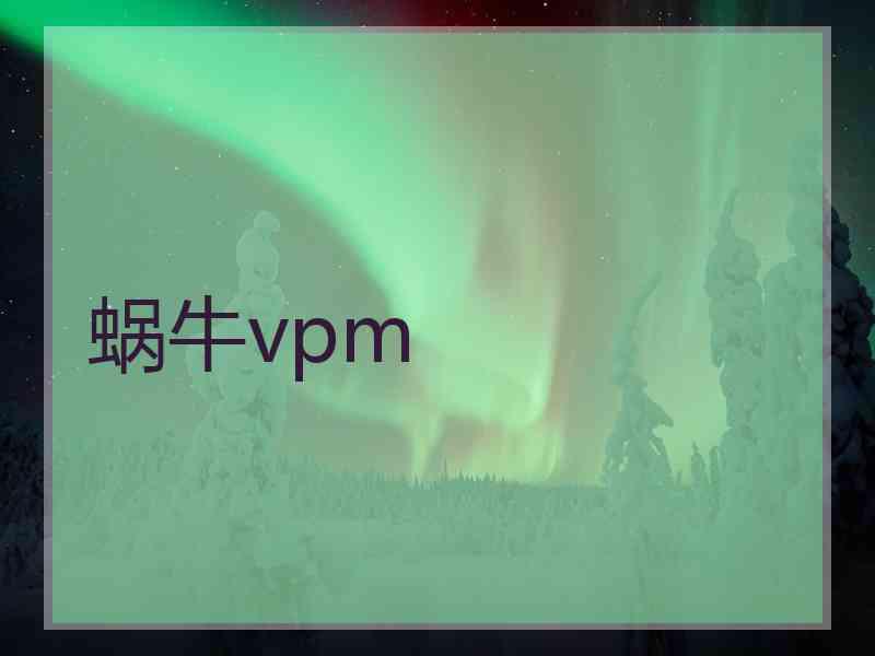 蜗牛vpm