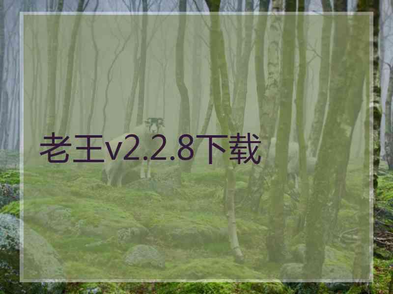 老王v2.2.8下载