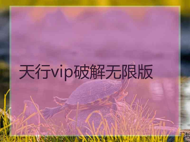 天行vip破解无限版