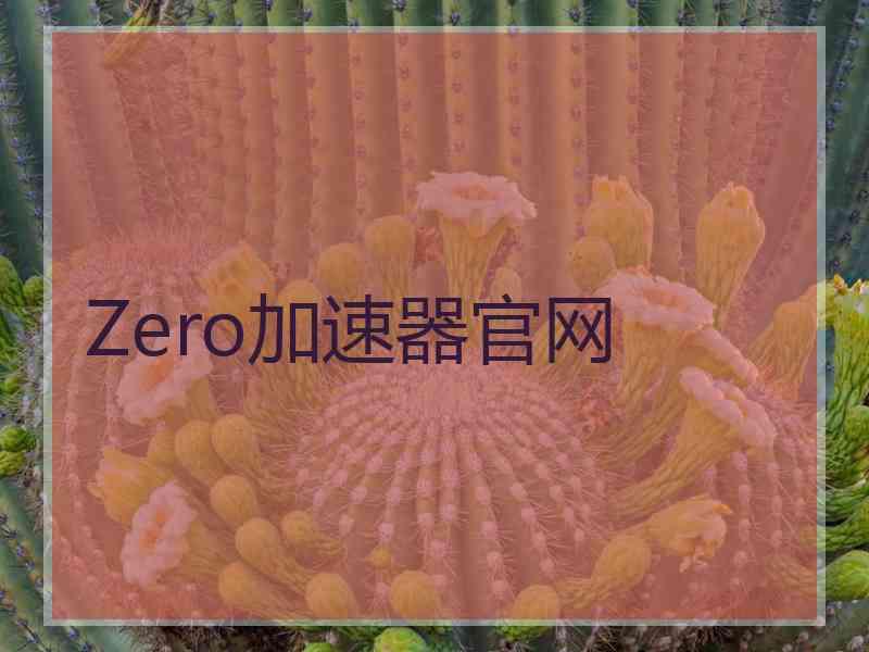 Zero加速器官网